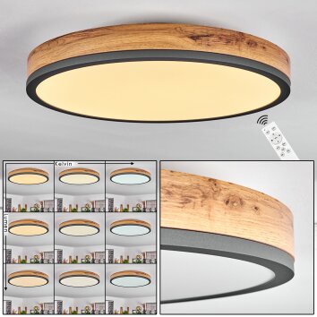 Salmi Lámpara de Techo LED Antracita, Marrón, Color madera, Negro, 1 luz, Mando a distancia