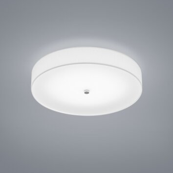 Helestra Bora Lámpara de techo LED Níquel-mate, 1 luz