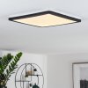 Siguna Lámpara de Techo LED Negro, Blanca, 1 luz