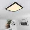 Siguna Lámpara de Techo LED Negro, Blanca, 1 luz