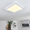 Siguna Lámpara de Techo LED Blanca, 1 luz