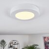 Canditas Lámpara de Techo LED Blanca, 1 luz