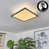 Barasat Lámpara de Techo LED Negro, Blanca, 2 luces