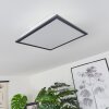 Barasat Lámpara de Techo LED Negro, Blanca, 2 luces