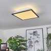 Barasat Lámpara de Techo LED Negro, Blanca, 2 luces