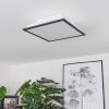 Barasat Lámpara de Techo LED Negro, Blanca, 2 luces