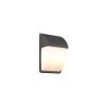 Trio Mersey Aplique para exterior Antracita, 2 luces