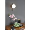 Luce Design PLUTO Aplique Negro, 1 luz