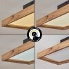 Longvic Lámpara de Techo LED Marrón, Color madera, Negro, 1 luz