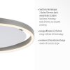 Leuchten-Direkt RITUS Lámpara de Techo LED Aluminio, 1 luz