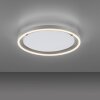 Leuchten-Direkt RITUS Lámpara de Techo LED Aluminio, 1 luz