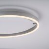 Leuchten-Direkt RITUS Lámpara de Techo LED Aluminio, 1 luz