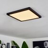 Canditas Lámpara de Techo LED Negro, 1 luz