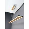 Luce Design Solaris Lámpara Colgante LED dorado, Negro, 1 luz