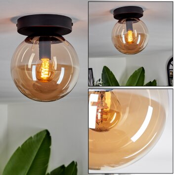 Gastor Lámpara de Techo - Cristal Colores ámbar, 1 luz