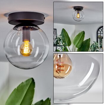 Gastor Lámpara de Techo - Cristal Transparente, 1 luz