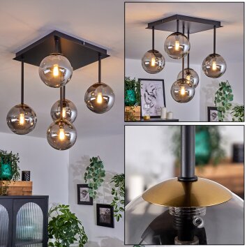 Chehalis Lámpara de Techo - Cristal dorado, Negro, 5 luces