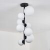 Chehalis Lámpara de Techo - Szkło 10 cm, 12 cm, 15 cm Blanca, 8 luces