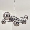 Chariton Lámparas suspendidas Negro, 6 luces