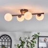 Chehalis Plafones Blanca, 4 luces