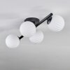 Chehalis Plafones Blanca, 4 luces