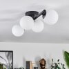 Chehalis Plafones Blanca, 4 luces