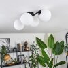 Chehalis Plafones Blanca, 4 luces