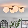 Chehalis Plafones Blanca, 4 luces