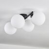 Chehalis Plafones Blanca, 4 luces