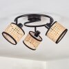 Ramila Plafones Negro, 3 luces