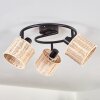 Cavaca Plafones Negro, 3 luces