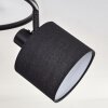 Bassagoda Plafones Negro, 3 luces