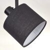 Bassagoda Plafones Negro, 2 luces