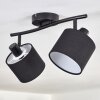 Bassagoda Plafones Negro, 2 luces