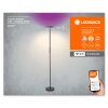 Lámparas Ledvance Wifi Lámpara de pie LED Negro, 1 luz, Cambia de color