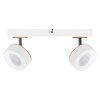 Lámparas Ledvance Decor Plafones LED Blanca, 2 luces