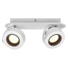 Lámparas Ledvance Decor Plafones LED Blanca, 2 luces