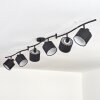 Alsen Plafones Negro, 6 luces