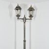 Etoe Candelabro, Iluminación de caminos dorado, Negro, 2 luces