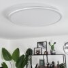 Sani Lámpara de Techo LED Blanca, 1 luz, Mando a distancia, Cambia de color