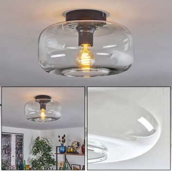 Boza Plafones Transparente, 1 luz