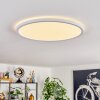 Endrup Plafones LED Blanca, 1 luz