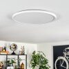 Endrup Plafones LED Blanca, 1 luz