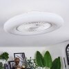 Benesal Plafones, lámpara ventilador de techo LED Blanca, 1 luz, Mando a distancia