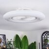 Benesal Plafones, lámpara ventilador de techo LED Blanca, 1 luz, Mando a distancia