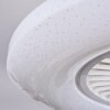 Benesal Plafones, lámpara ventilador de techo LED Blanca, 1 luz, Mando a distancia