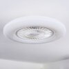 Benesal Plafones, lámpara ventilador de techo LED Blanca, 1 luz, Mando a distancia