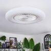 Benesal Plafones, lámpara ventilador de techo LED Blanca, 1 luz, Mando a distancia