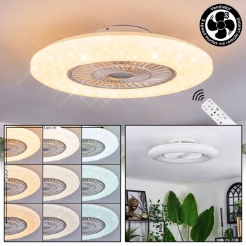 Benesal Plafones, lámpara ventilador de techo LED Blanca, 1 luz, Mando a distancia