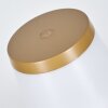 Algeraz Lámpara de mesa de exterior, Lámparas de mesa LED Beige, 1 luz